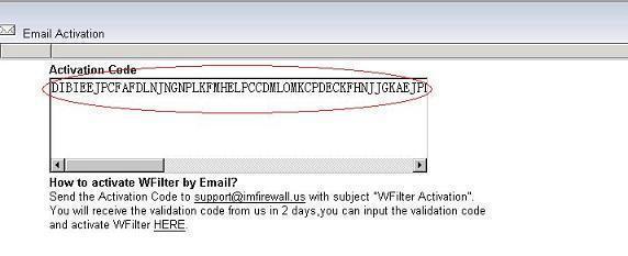 Activare WFilter prin email